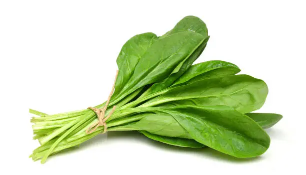 Palak 250gm 