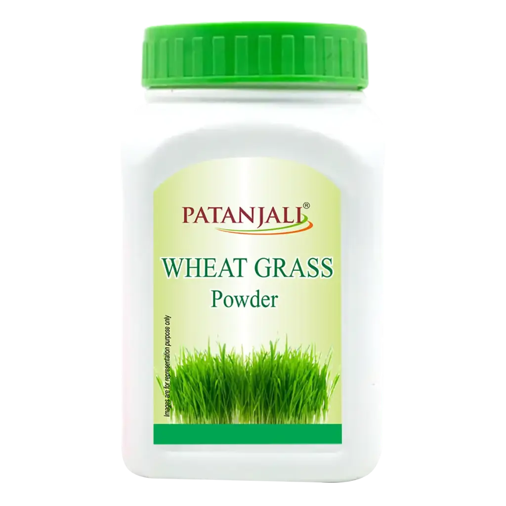 Patanjali Glucoshakti Regular 100gm 