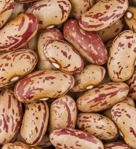 Rajma 500gm