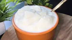Plain Curd (Dahi)