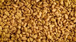 Methi 
