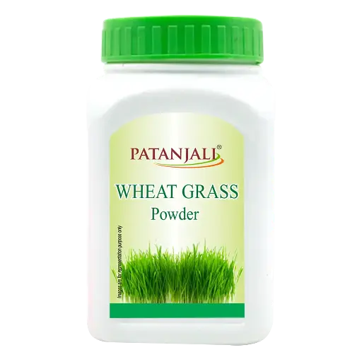 Patanjali Glucoshakti Regular 100gm 