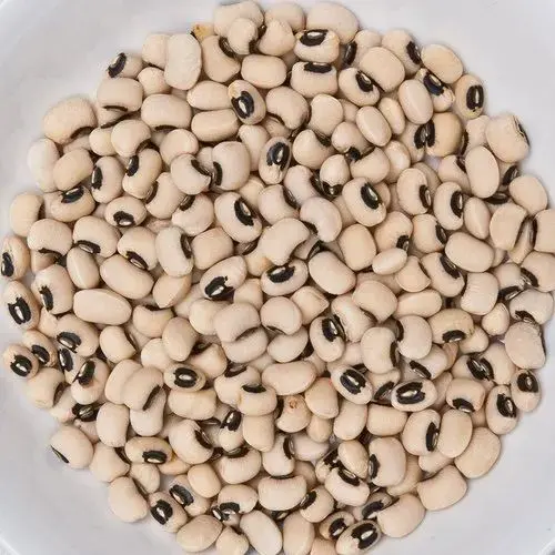   Lubiya White 500gm
