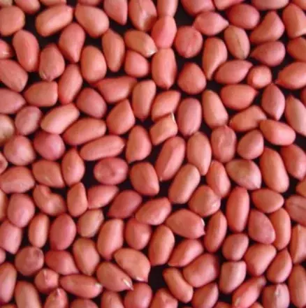 Moongfali 500gm