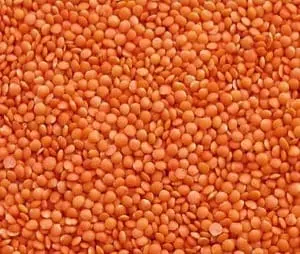 Masoor Dal 500gm
