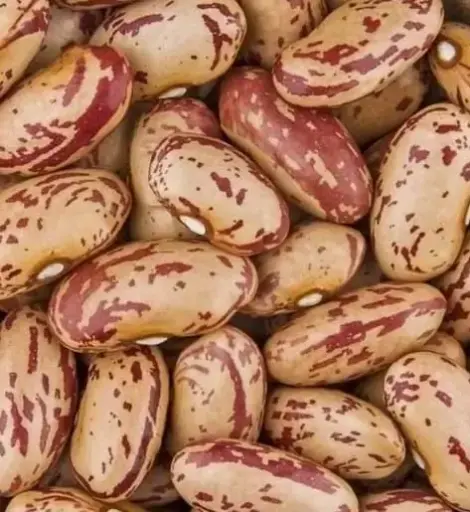 Rajma 500gm