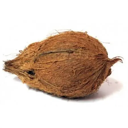 Dry Nariyal (Fruit) 1