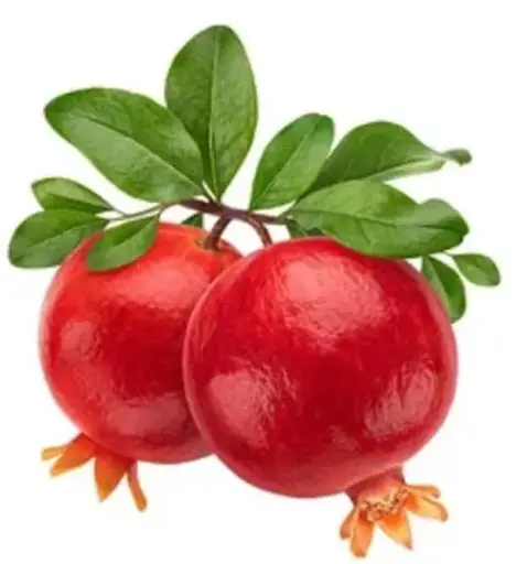 Anaar (Pomegranate) Best Quality 