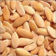 Musk Melon Seed (Khrbuje Beej)